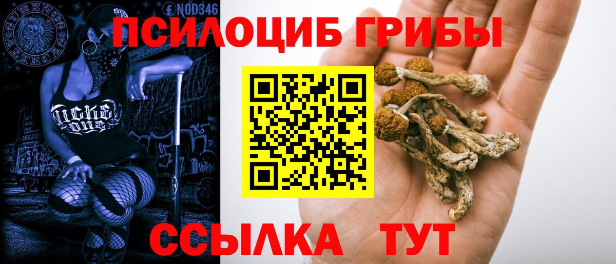 Псилоцибиновые грибы мицелий  Галлюциногенные грибы Psilocybe  Апатиты  Вход с VPN 
